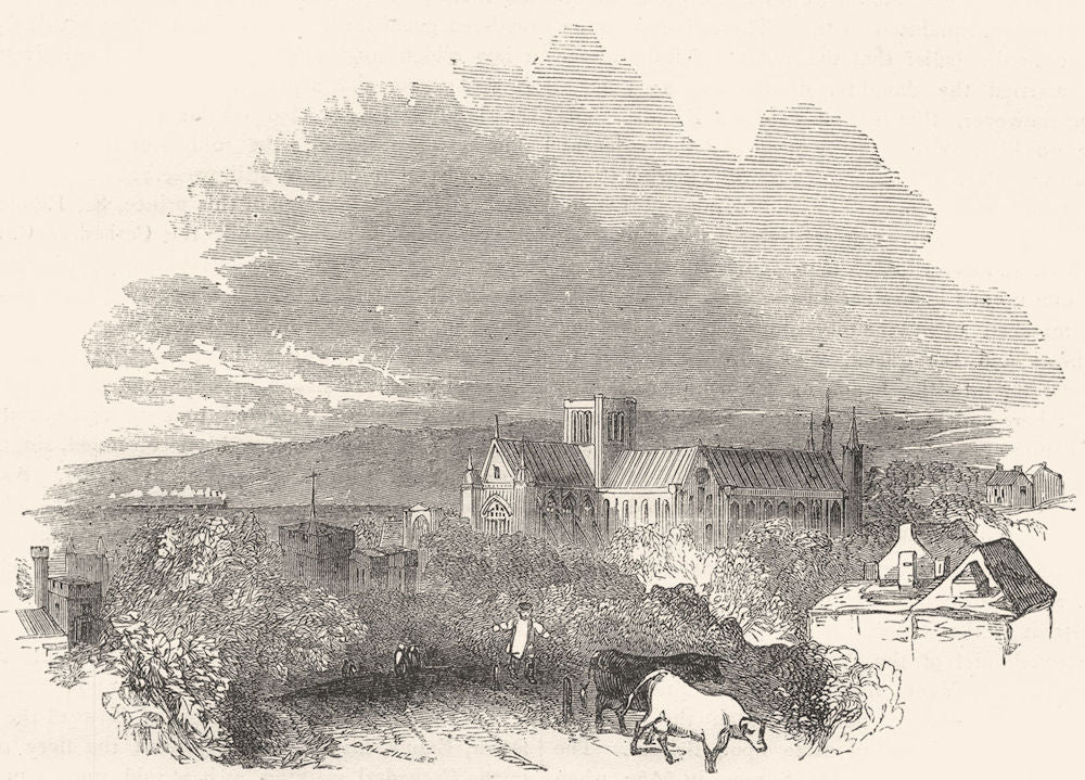 HAMPSHIRE. Winchester 1850 old antique vintage print picture